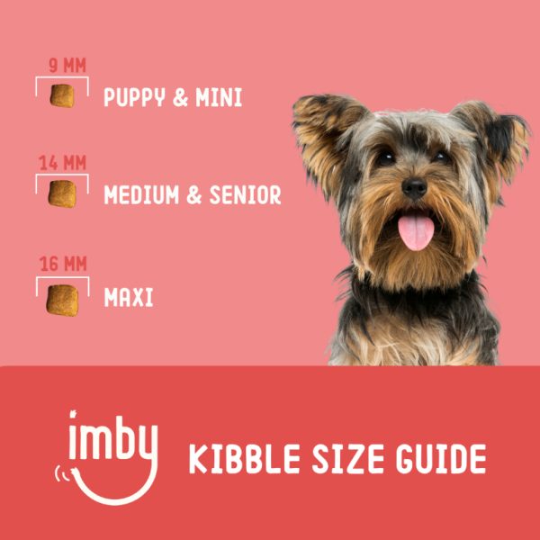 Insect-based Dog Food - Image 6