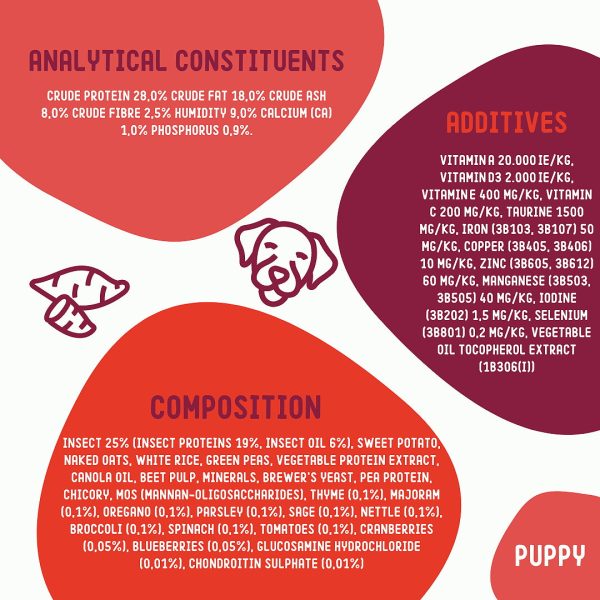 Insect-based Dog Food - Image 9