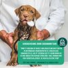 Een hond die wordt gecontroleerd door een dierenarts.