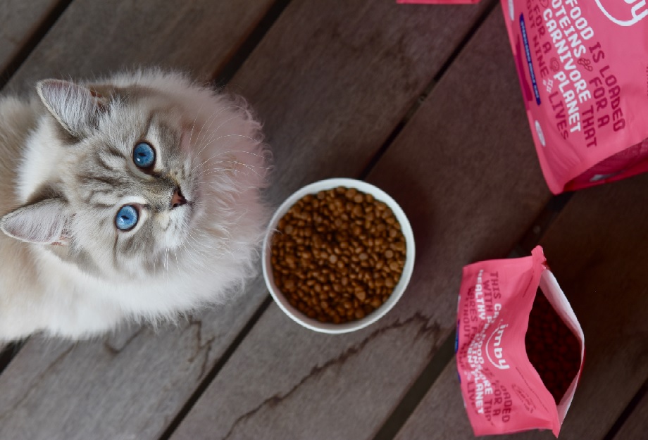 Beste kattenvoer droog