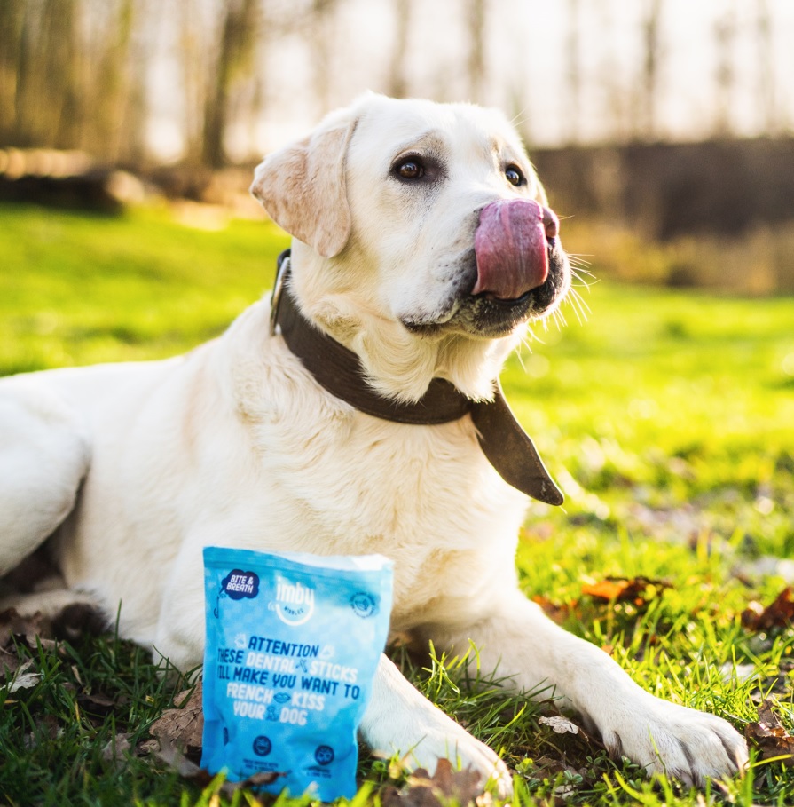 Een hond die geniet van de smaak van vegan dental sticks van Imby Pet Food.