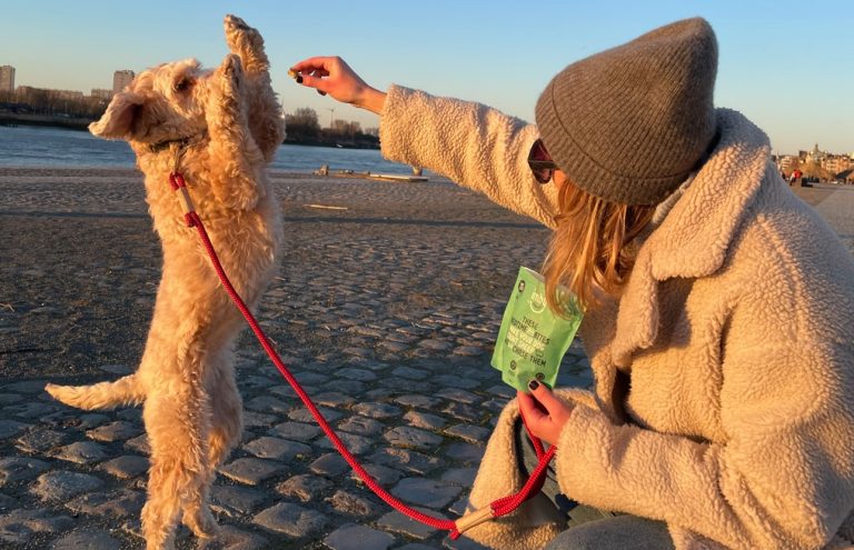 Een hond die enthousiast is om hondensnoepjes van Imby Pet Food te krijgen.