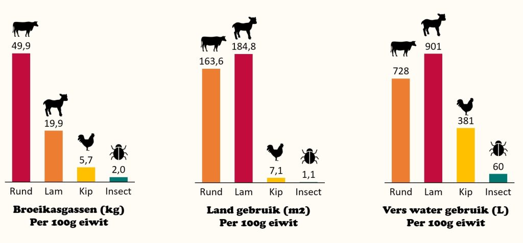 Insecten duurzaamheid