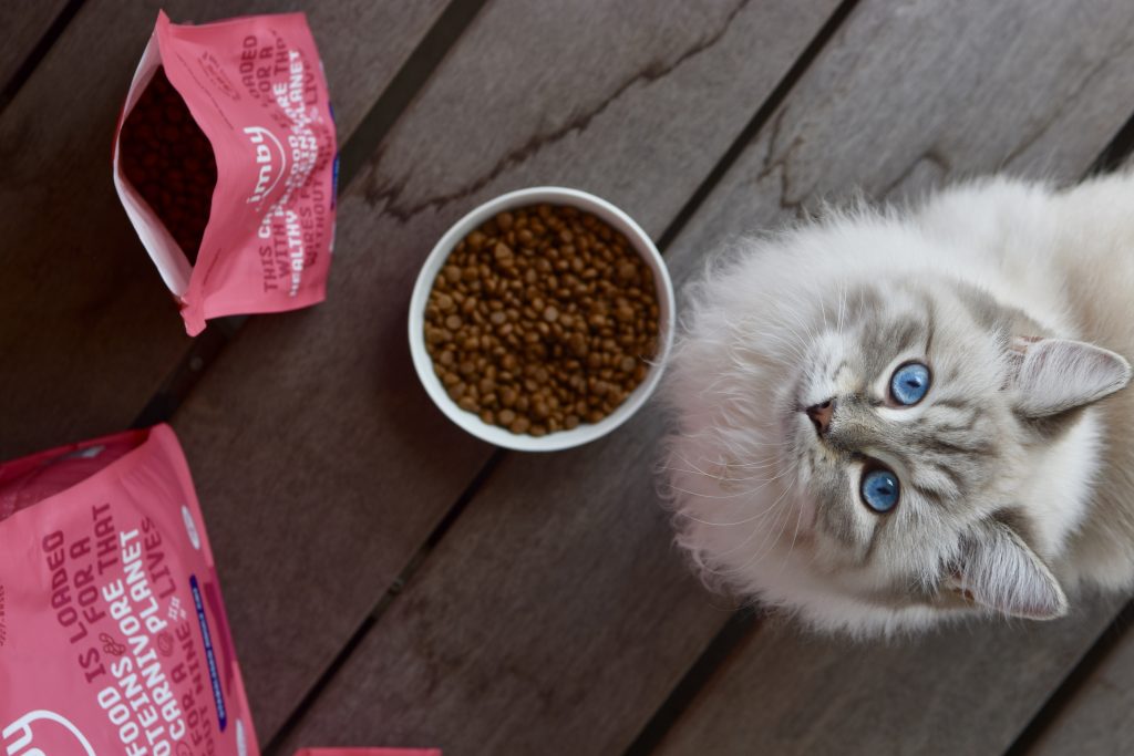 croquettes hypoallergéniques pour chats