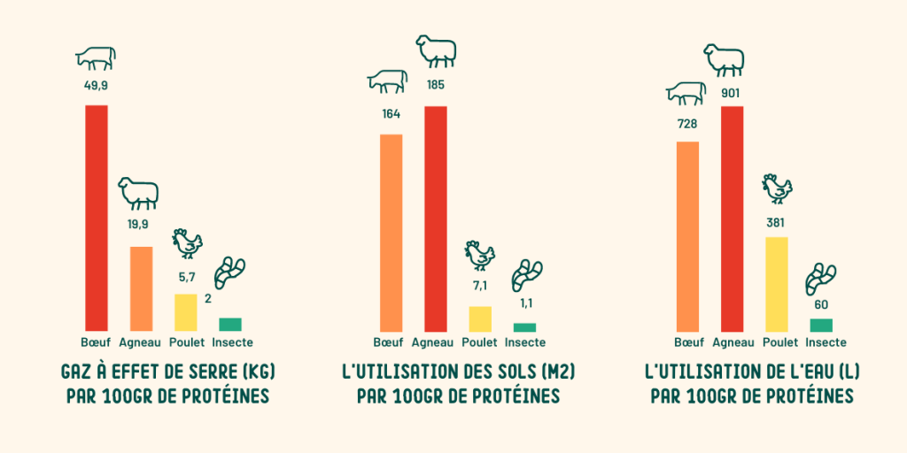 Croquettes aux insectes durables