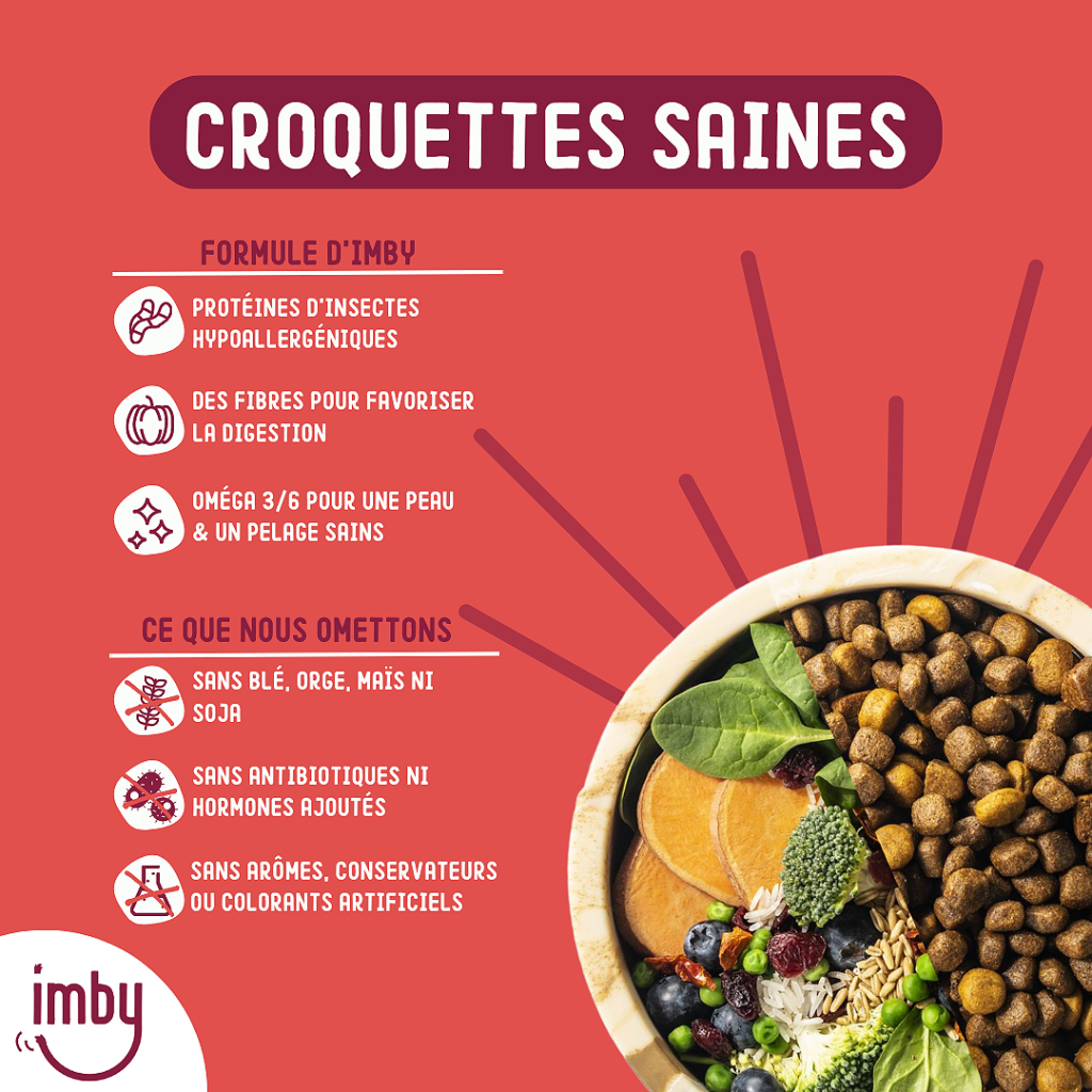 Croquettes aux insectes saines
