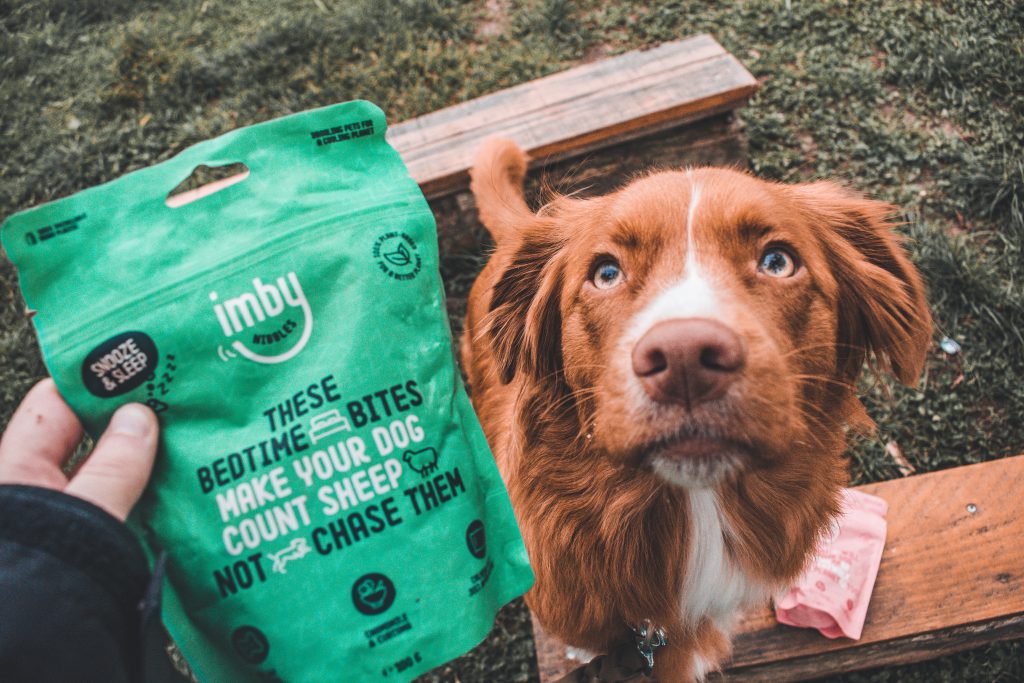 Friandise saine pour chiens