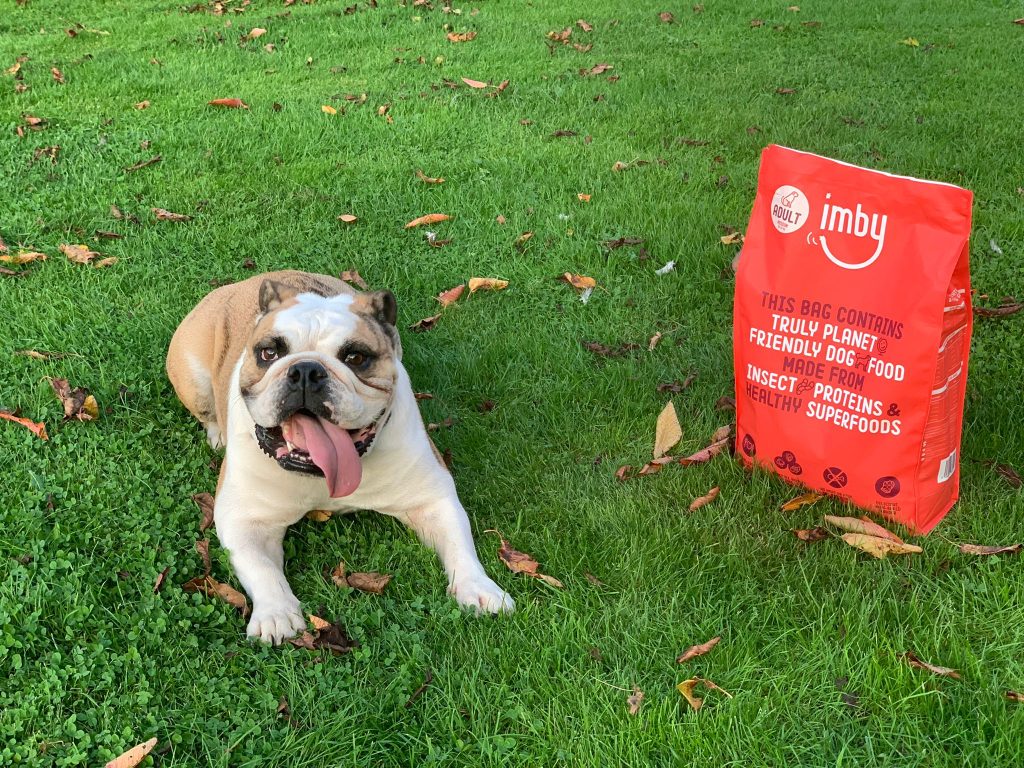 Verstopping bij honden supplementen