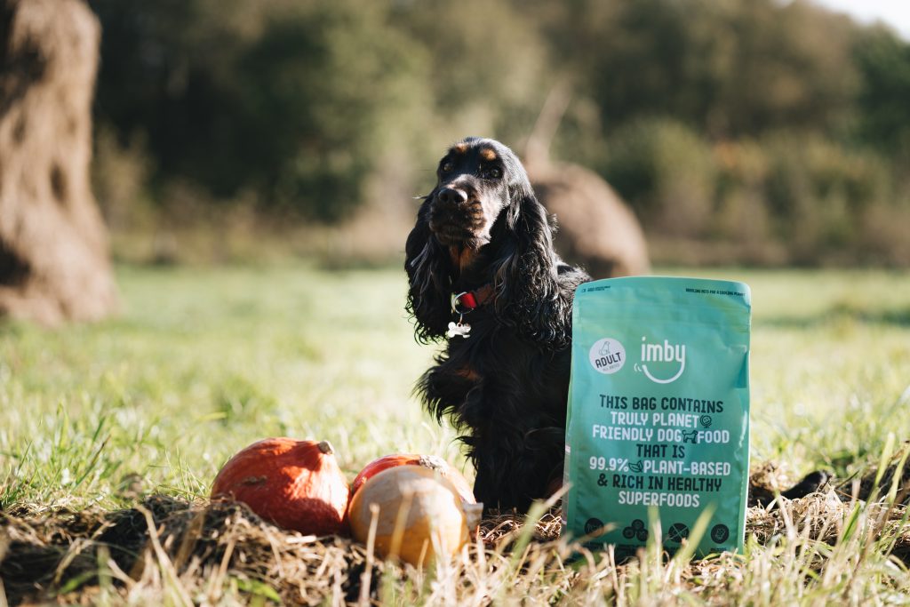 Vegan honden leven langer