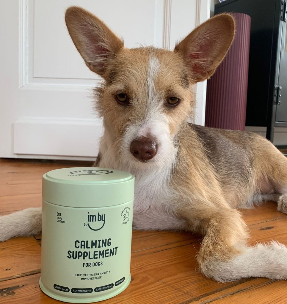 Imby kalmerend supplement voor honden