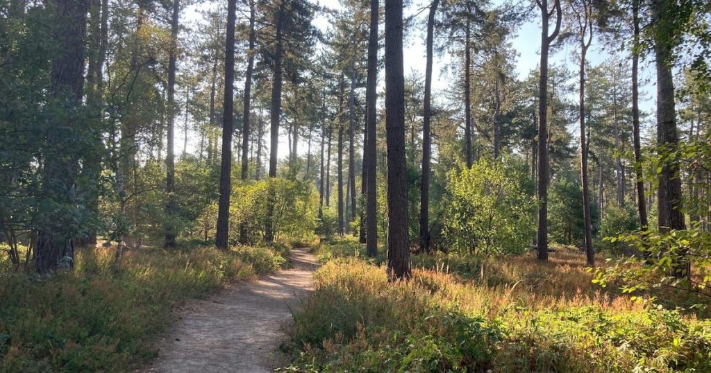 Kloosterbos Wachtebeke