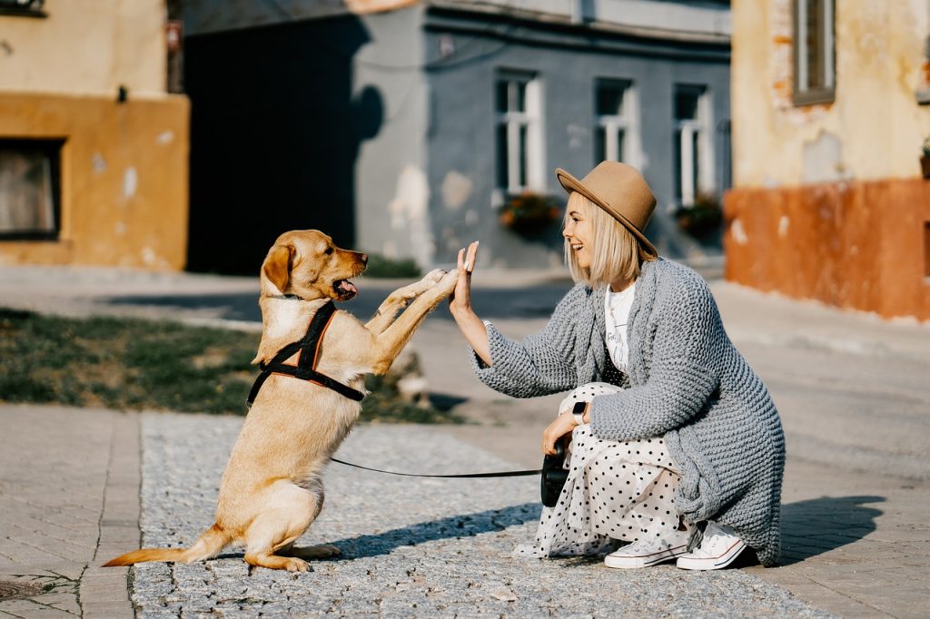 Natuurlijke voedingssupplementen voor honden