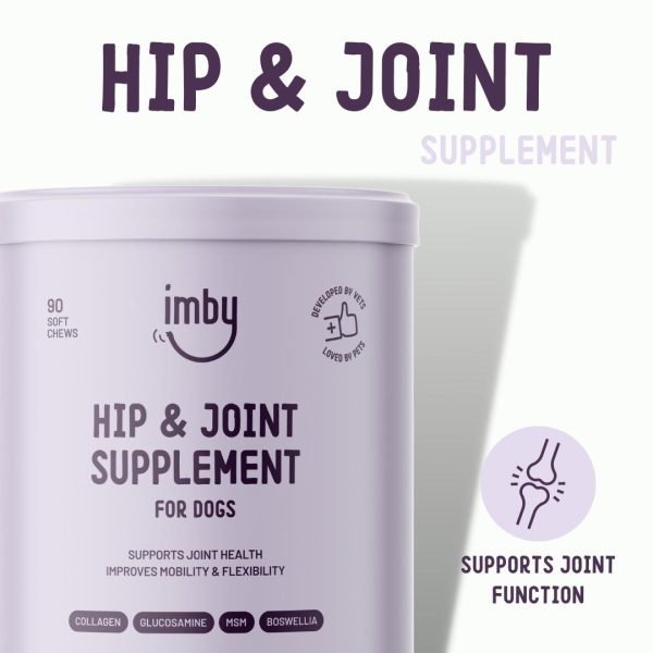 Hip & Joint - Image 2