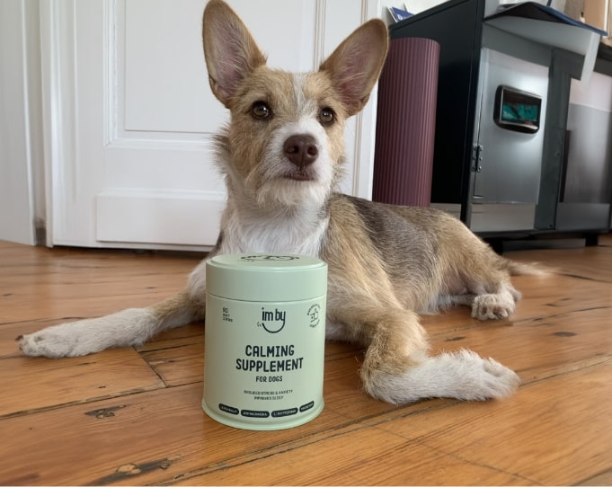 Kalmerend voedingssupplement voor honden
