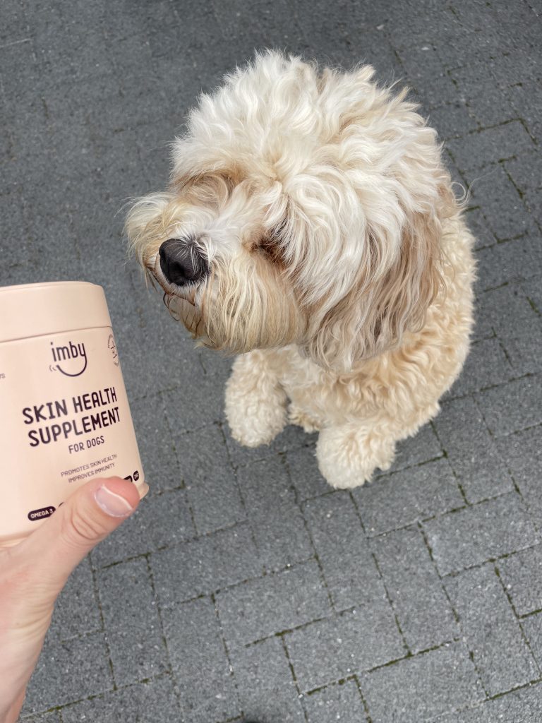 hondensupplementen gebruiken