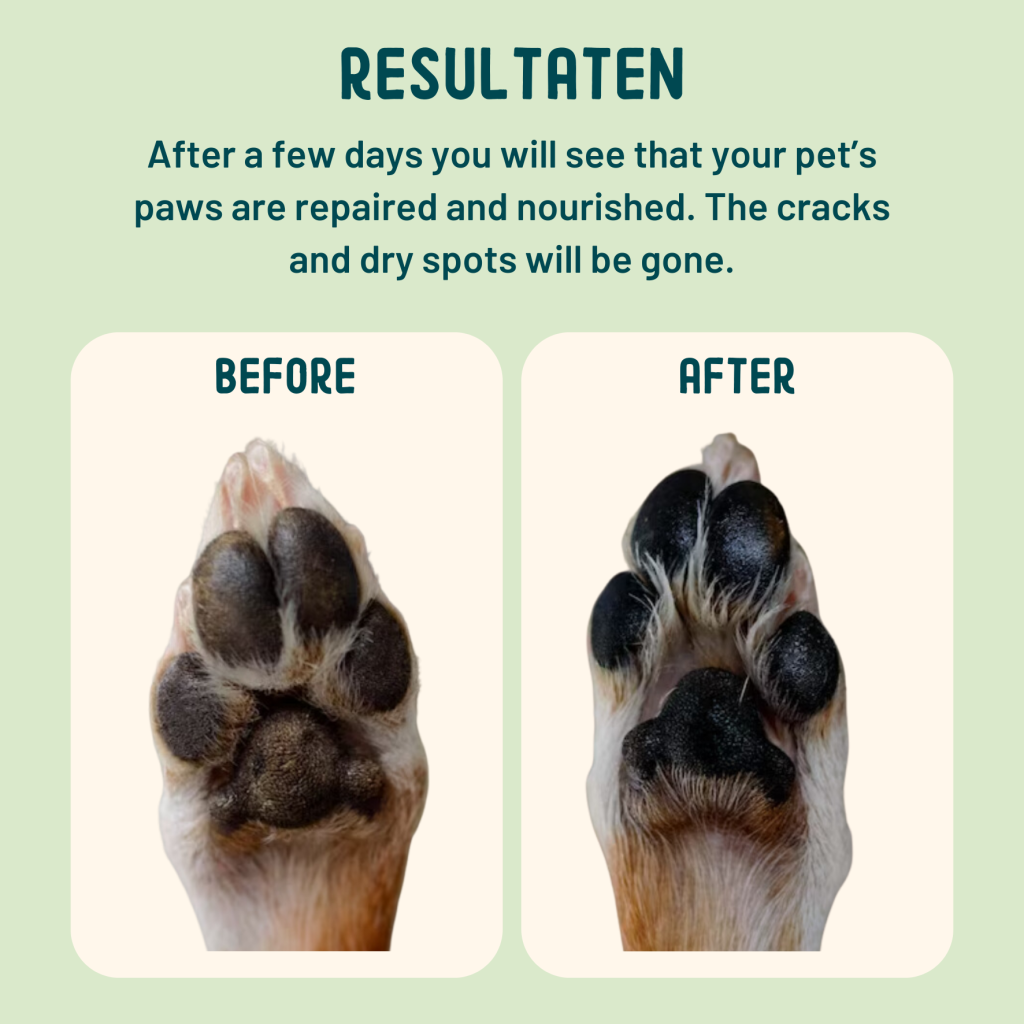 Positieve effecten van een potenbalsem voor honden