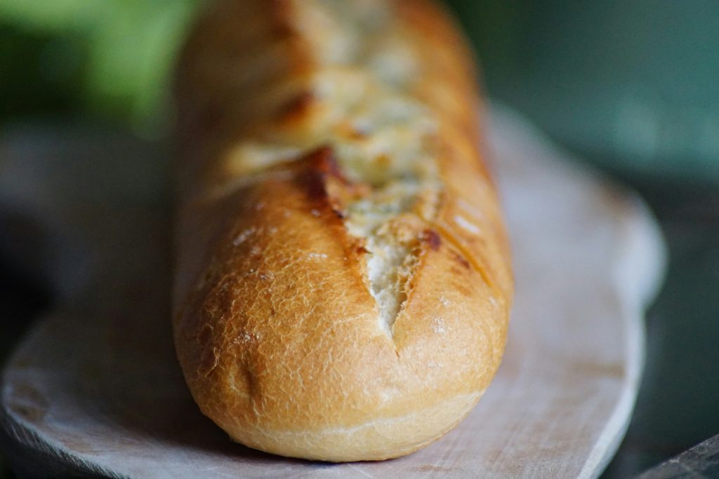Brood honden