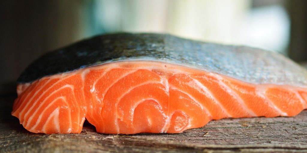 Zalm honden