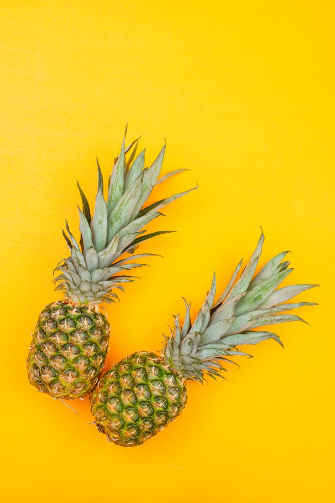 Ananas hond